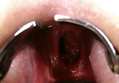 Nonna succhia BBC e poi distrugge la video hard gratis gay sua figa